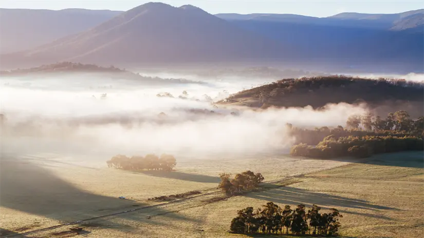 La neblina matinal es un fenómeno común en esta época del año y puede reducir la visibilidad en caminos rurales durante las primeras horas del día. Foto: Canva