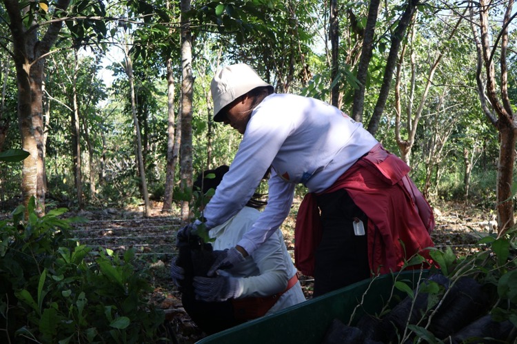 imagen-cuerpo imagen-cuerpo