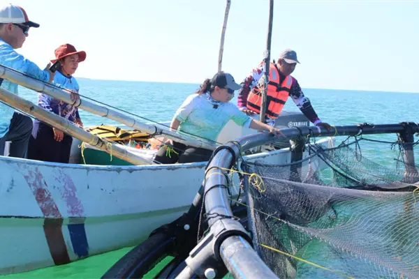 Lanzan convocatoria para el Premio Estatal de Pesca y Acuacultura Ejemplar 2025 en Yucat&aacute;n