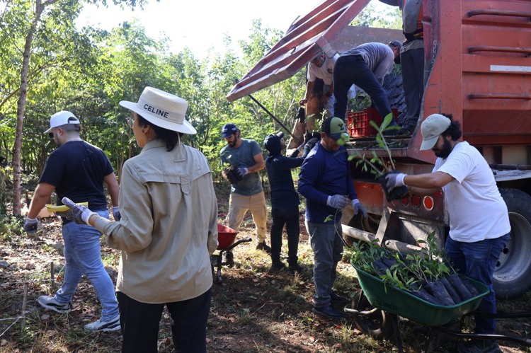 imagen-cuerpo imagen-cuerpo