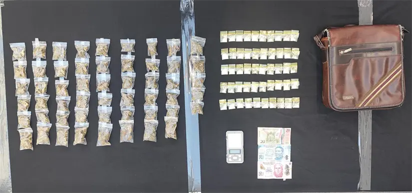 Dosis aseguradas Foto: Policía de Guadalupe