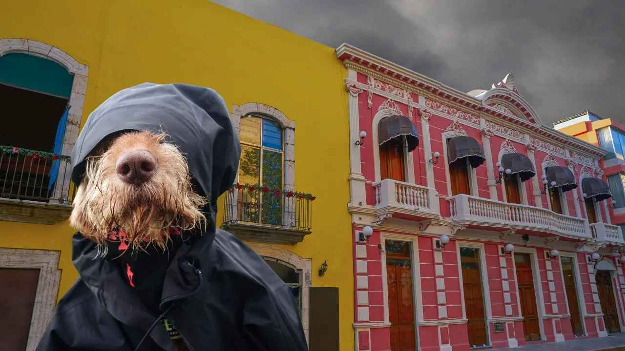 Se espera un ambiente fresco en la mañana. Foto: Canva
