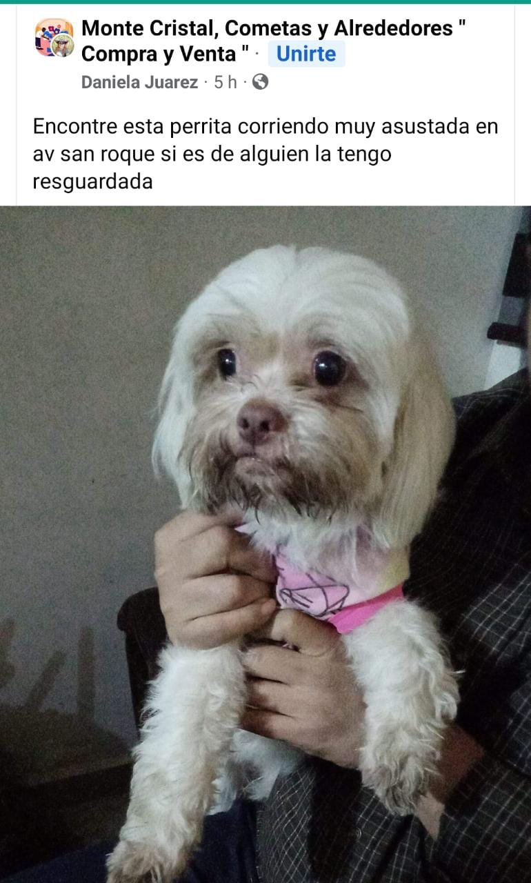 imagen recuadro