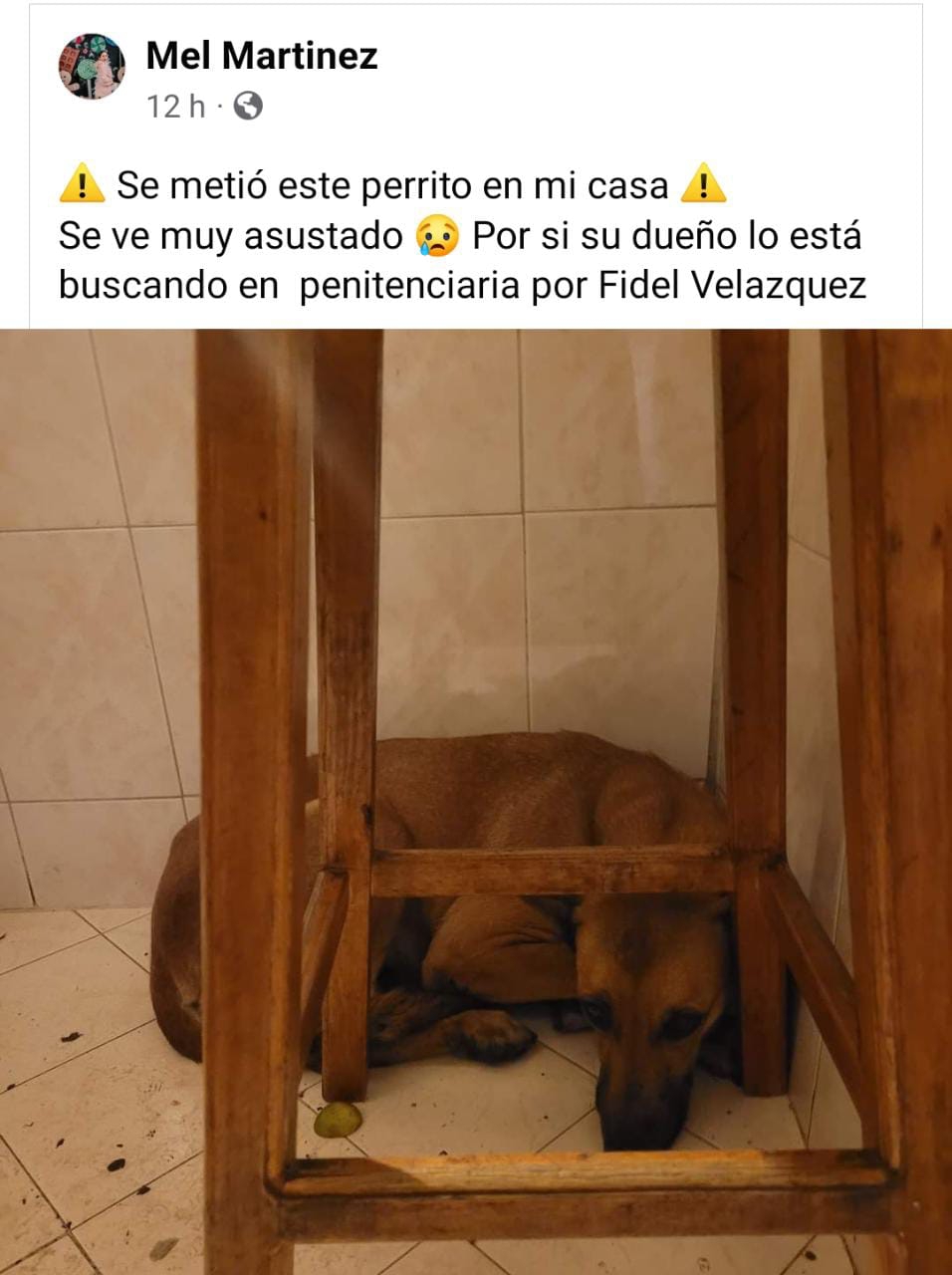 imagen recuadro