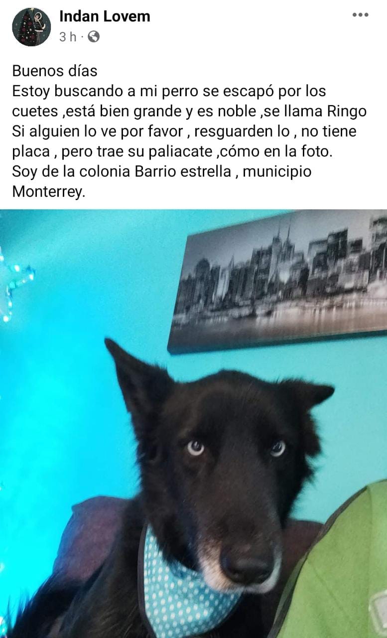 imagen recuadro