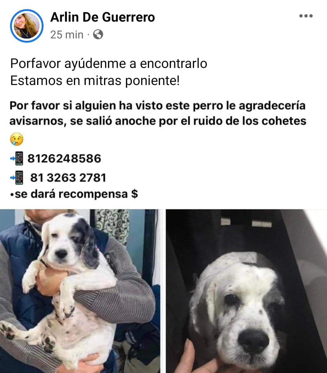 imagen recuadro