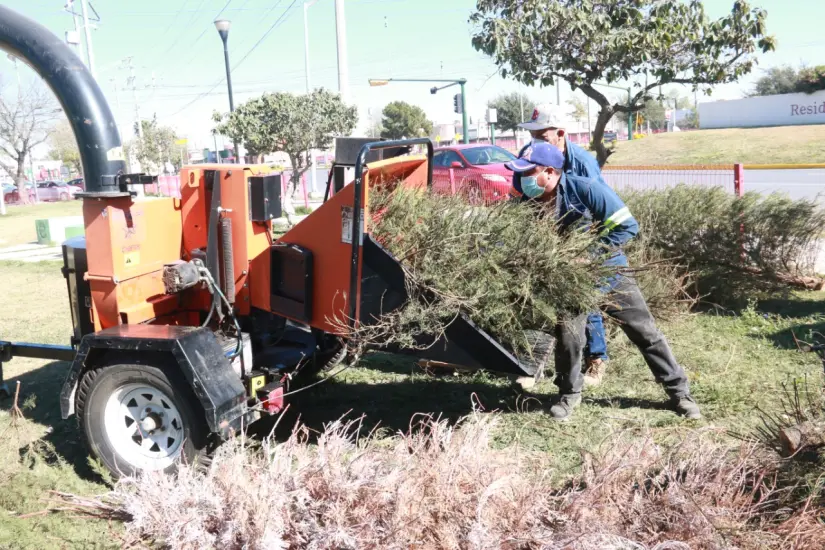 imagen recuadro imagen recuadro