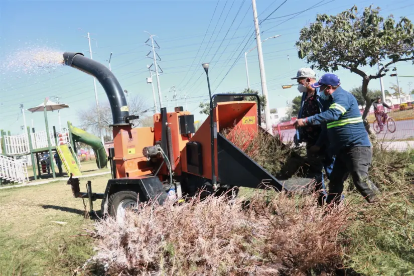 imagen recuadro imagen recuadro