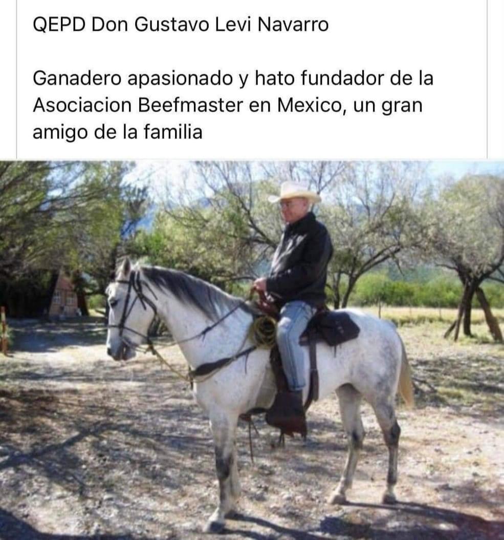 imagen recuadro