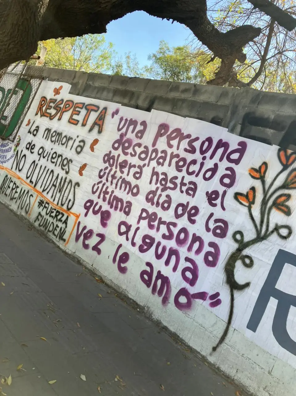 imagen recuadro