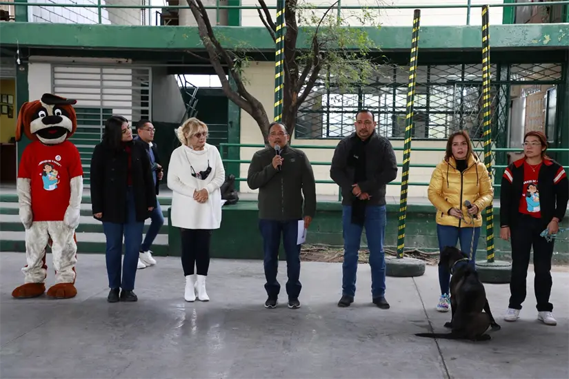 imagen recuadro imagen recuadro