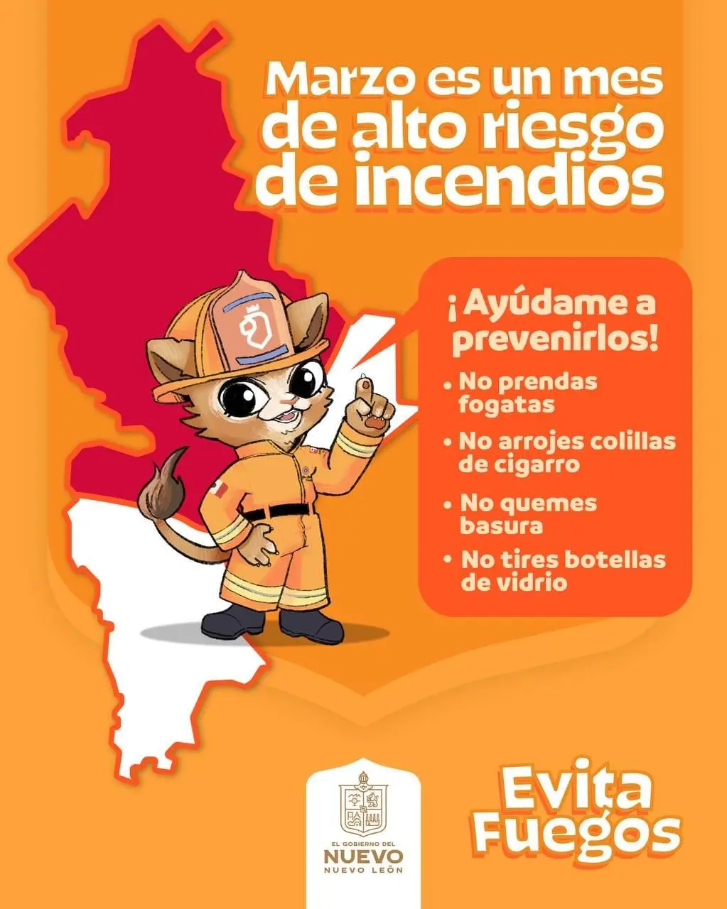 imagen recuadro imagen recuadro