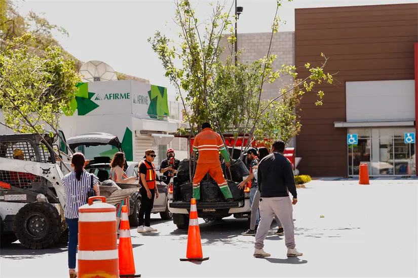 imagen recuadro imagen recuadro