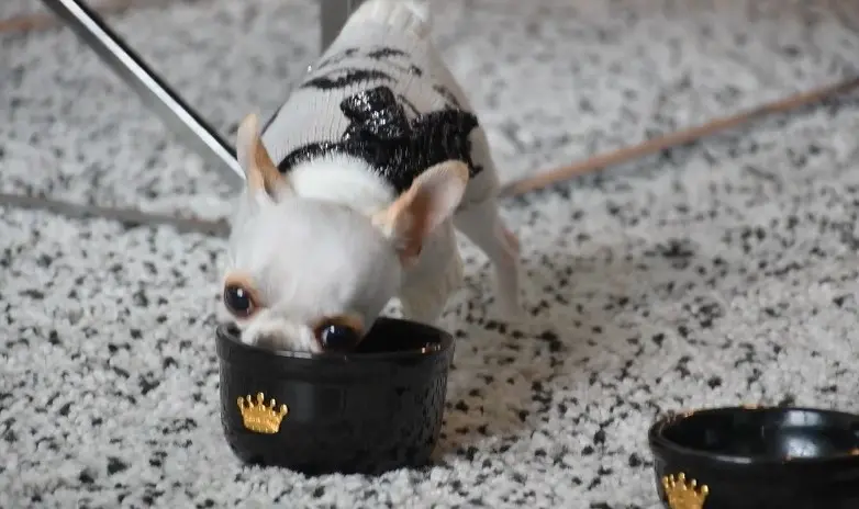 imagen recuadro imagen recuadro