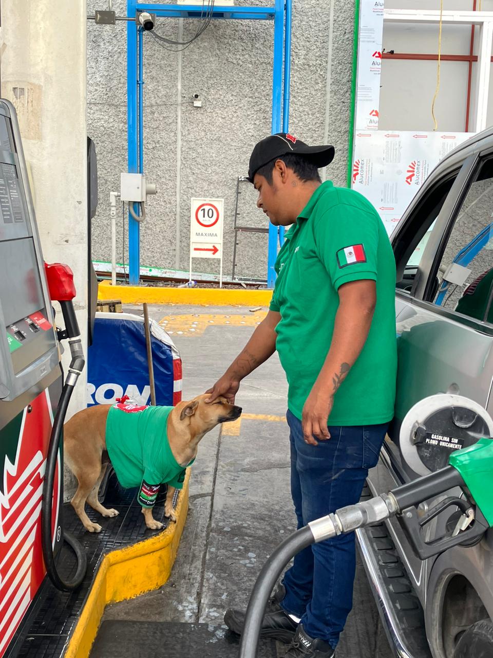 imagen recuadro