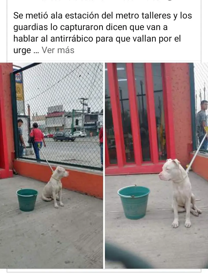 imagen recuadro imagen recuadro