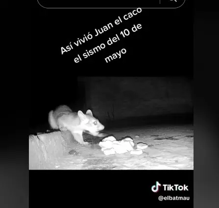 imagen recuadro imagen recuadro