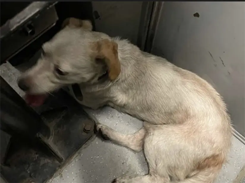 imagen recuadro imagen recuadro