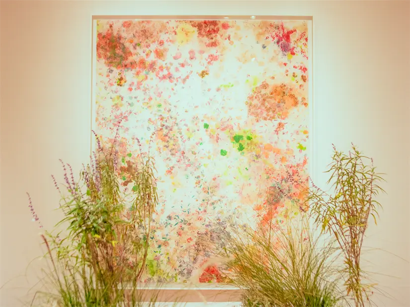 imagen recuadro imagen recuadro