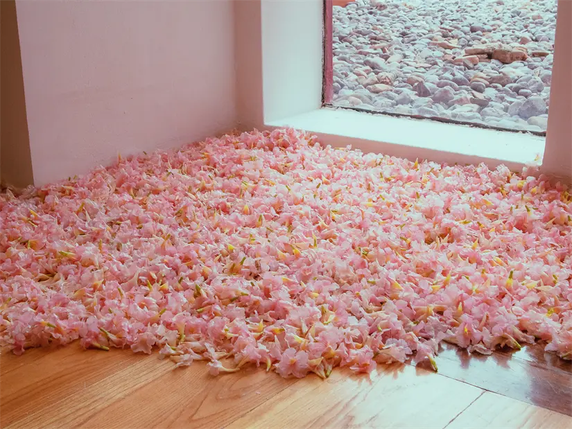 imagen recuadro imagen recuadro