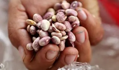 imagen recuadro imagen recuadro