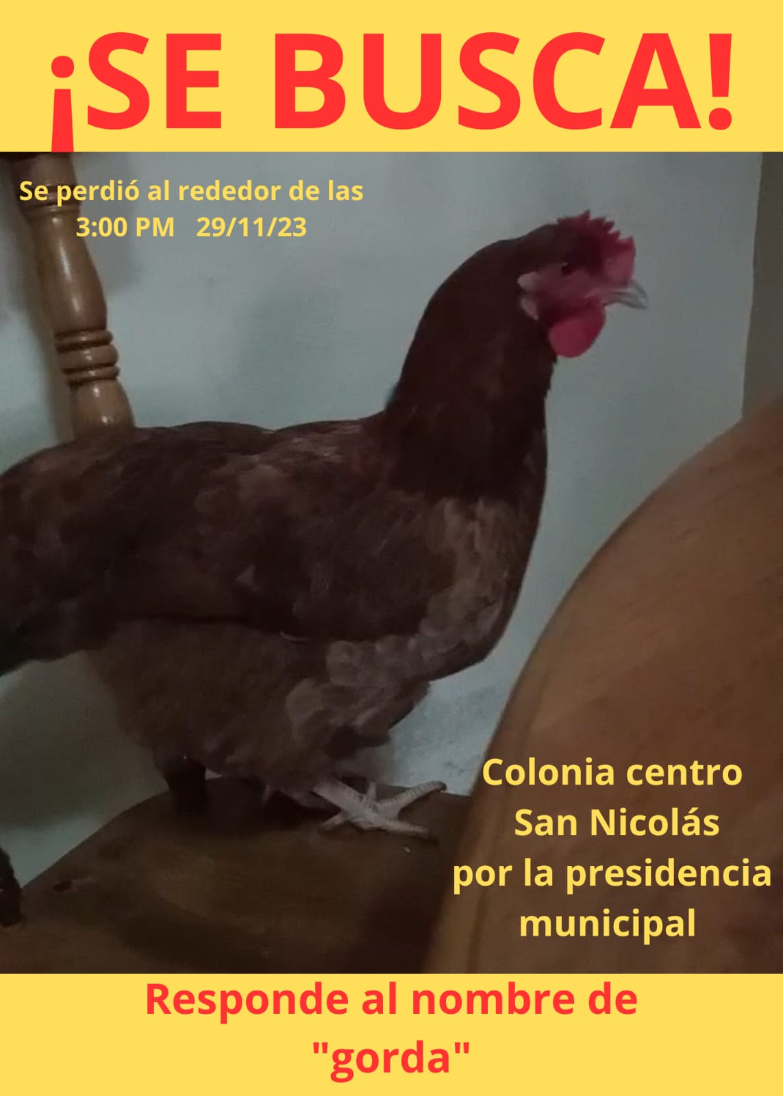 imagen recuadro
