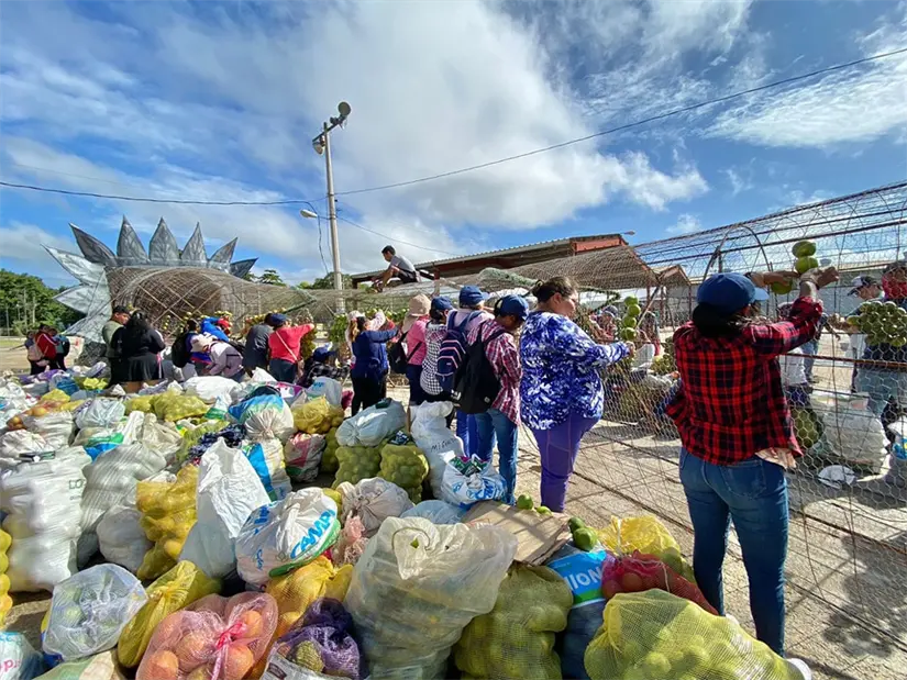 imagen recuadro imagen recuadro