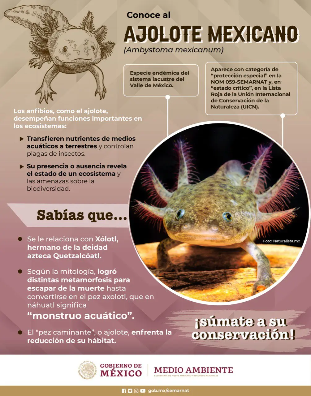 imagen recuadro imagen recuadro