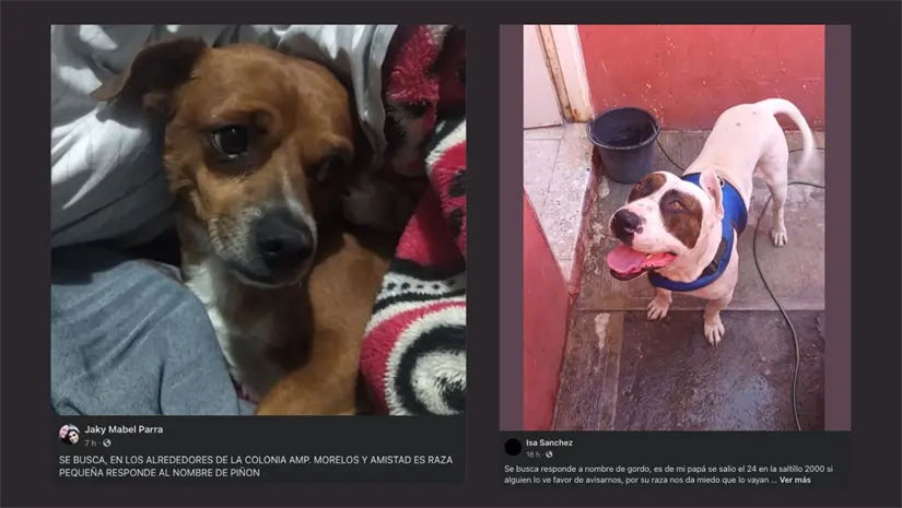 imagen recuadro imagen recuadro