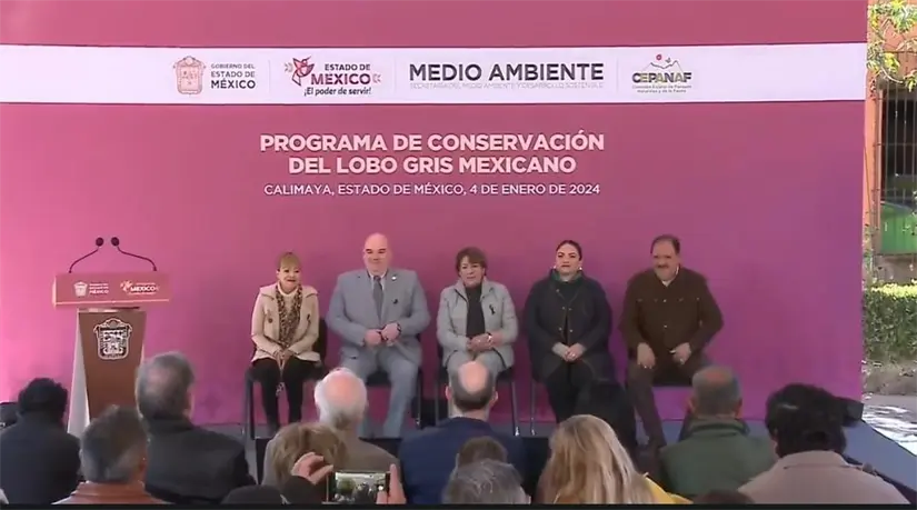 imagen recuadro imagen recuadro