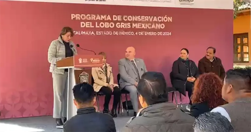 imagen recuadro imagen recuadro