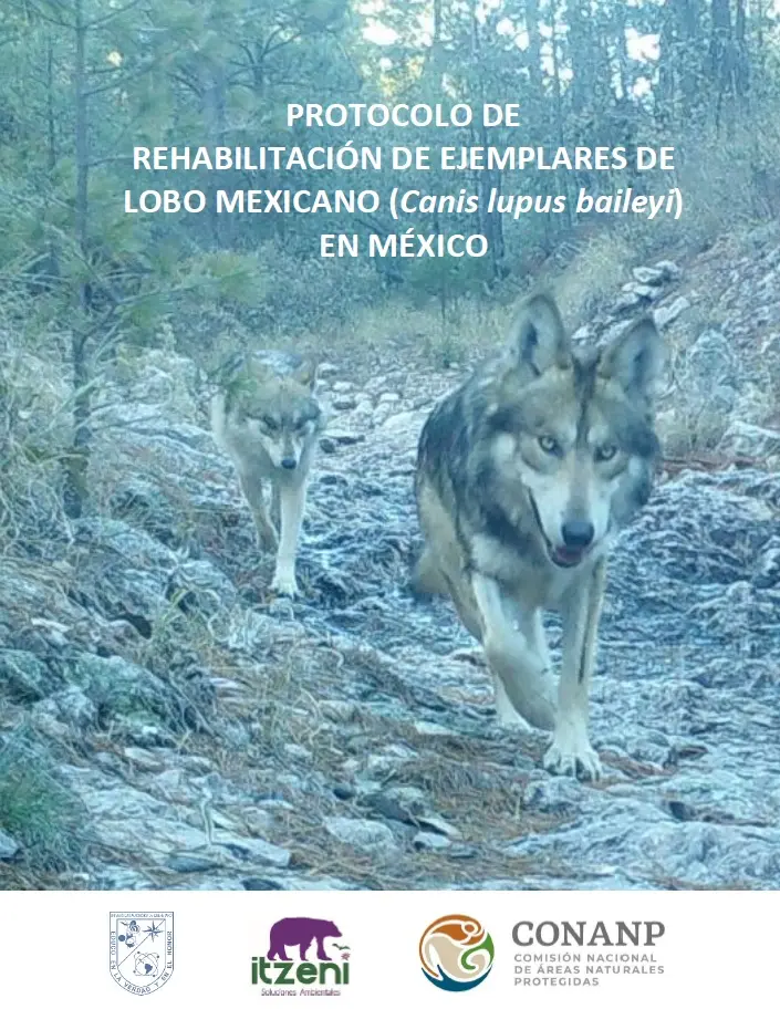 imagen recuadro imagen recuadro