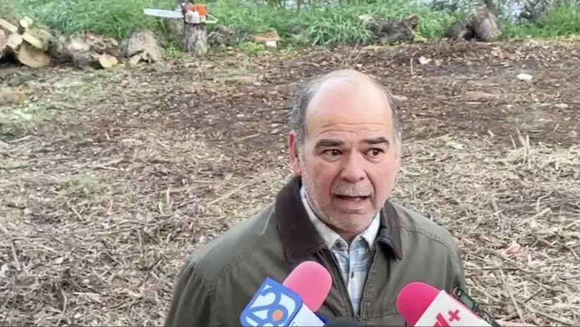 imagen recuadro imagen recuadro