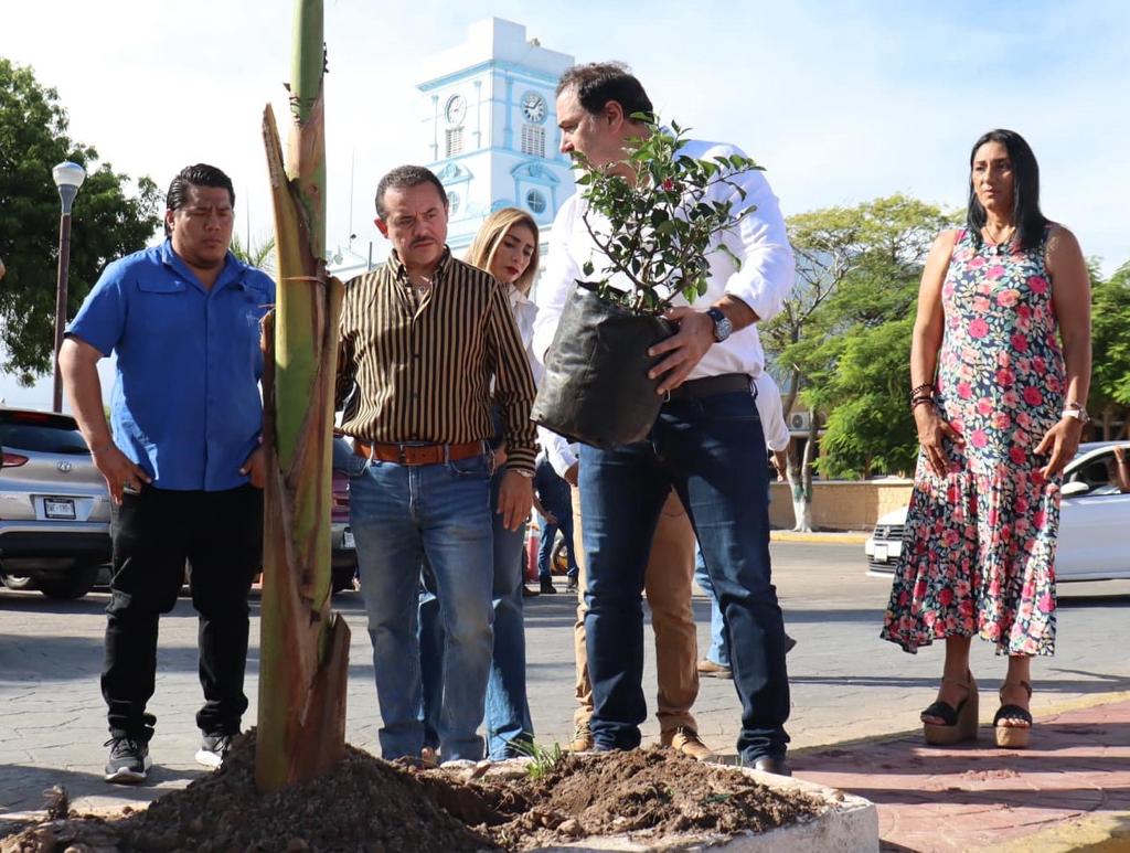 imagen recuadro