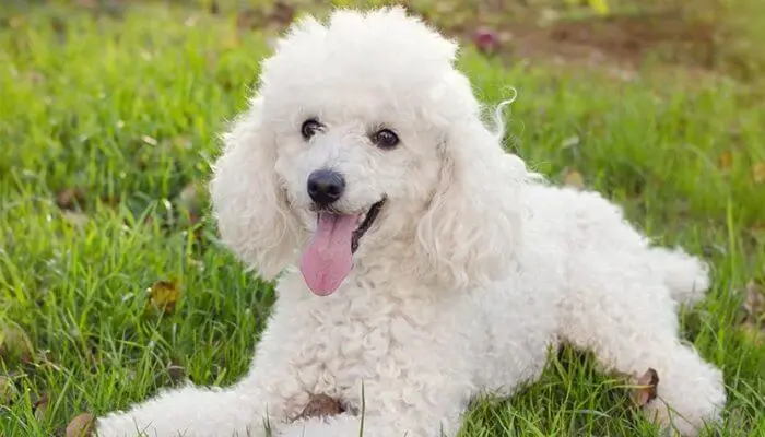 imagen recuadro imagen recuadro