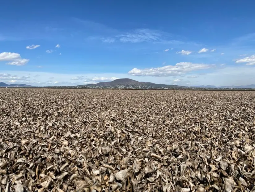 imagen recuadro imagen recuadro