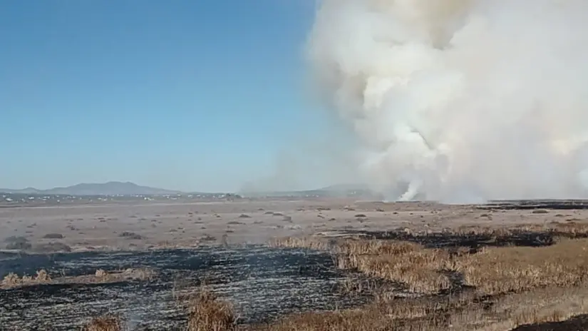 imagen recuadro imagen recuadro