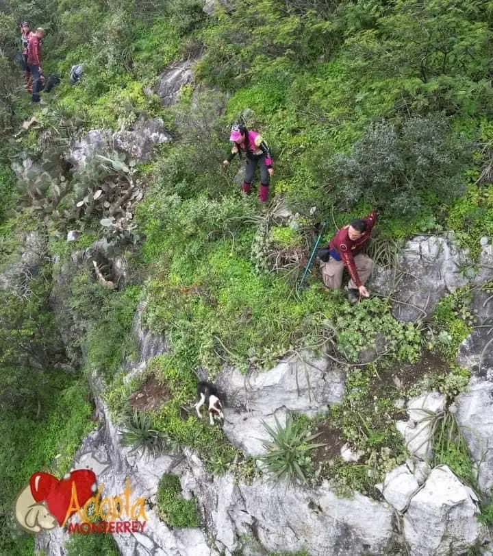 imagen recuadro imagen recuadro