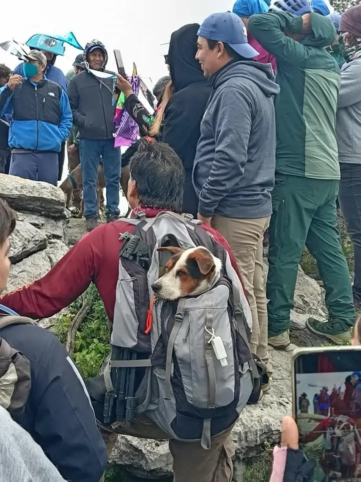 imagen recuadro imagen recuadro