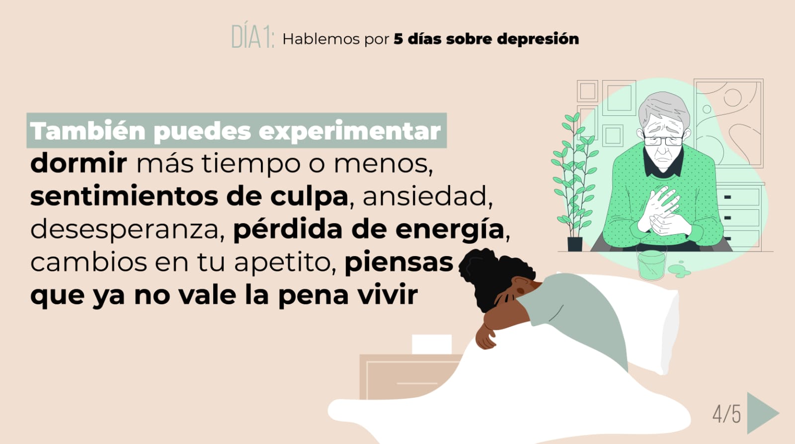 imagen recuadro