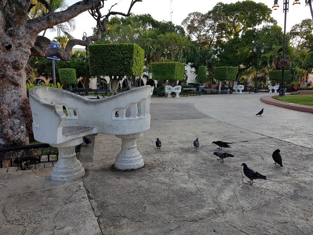 imagen recuadro
