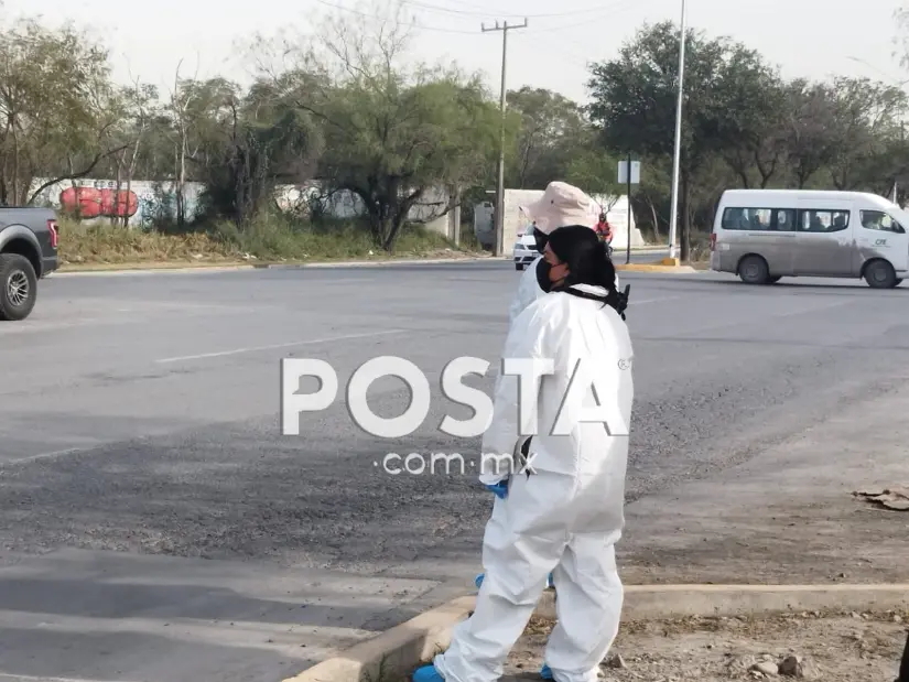 imagen recuadro imagen recuadro