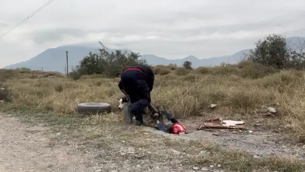imagen recuadro
