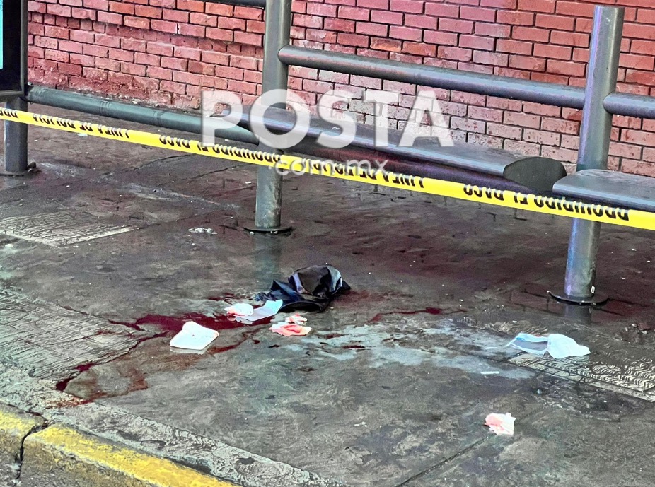 imagen recuadro