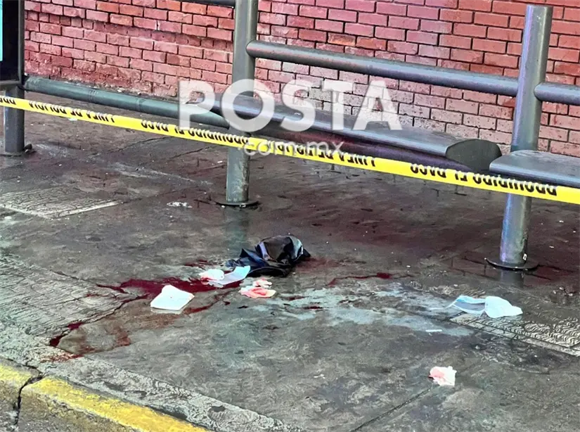 imagen recuadro