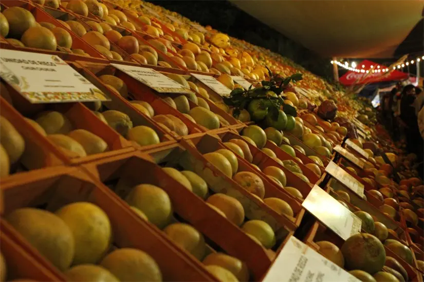 imagen recuadro imagen recuadro