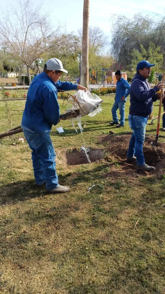 imagen recuadro imagen recuadro