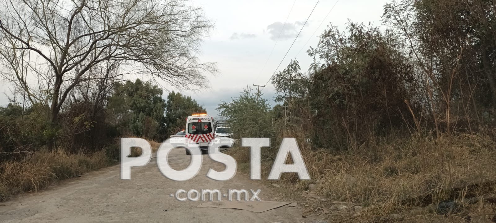 imagen recuadro