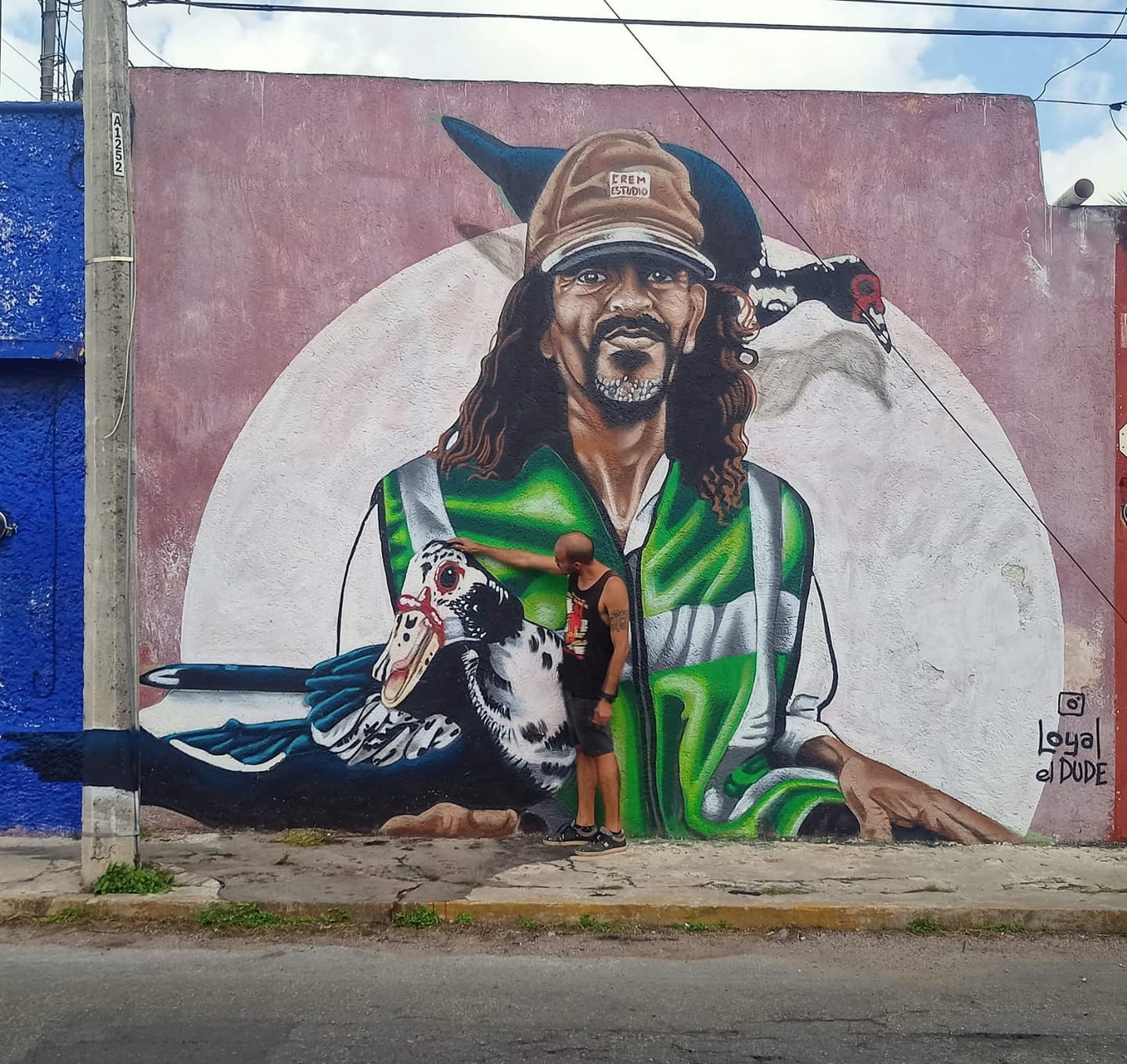 imagen recuadro