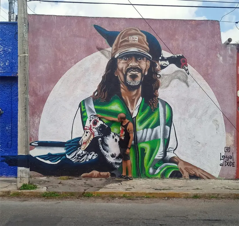 imagen recuadro